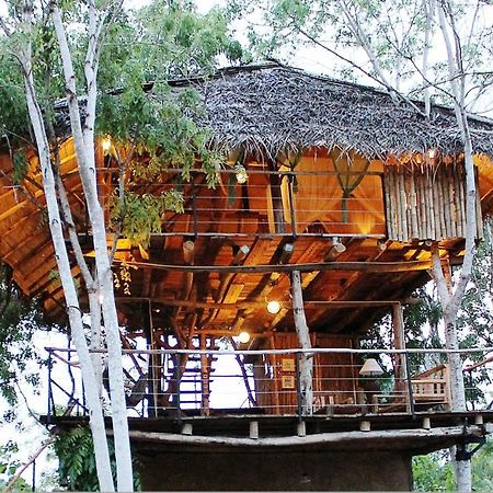 The Saraii Tree Lodge Tissamaharama Eksteriør billede
