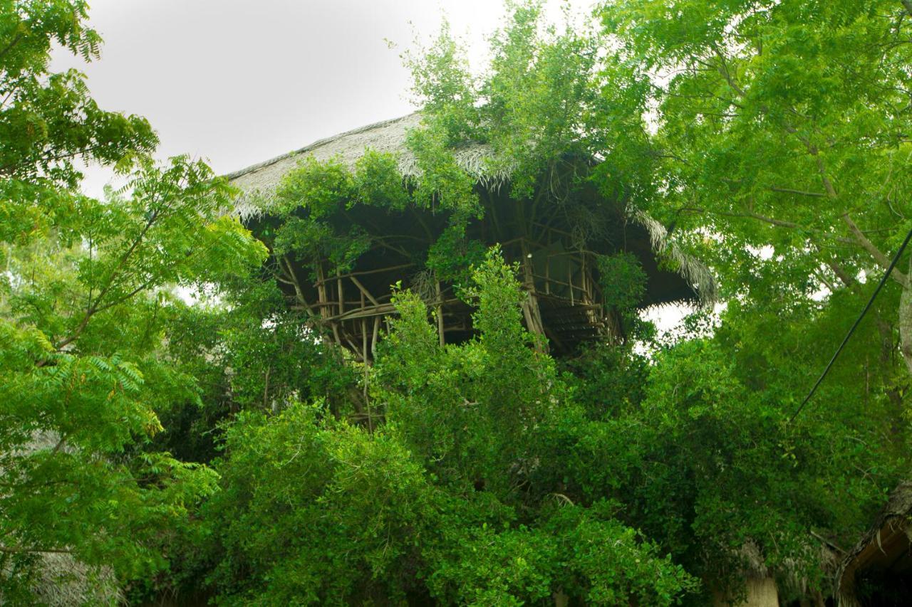 The Saraii Tree Lodge Tissamaharama Eksteriør billede