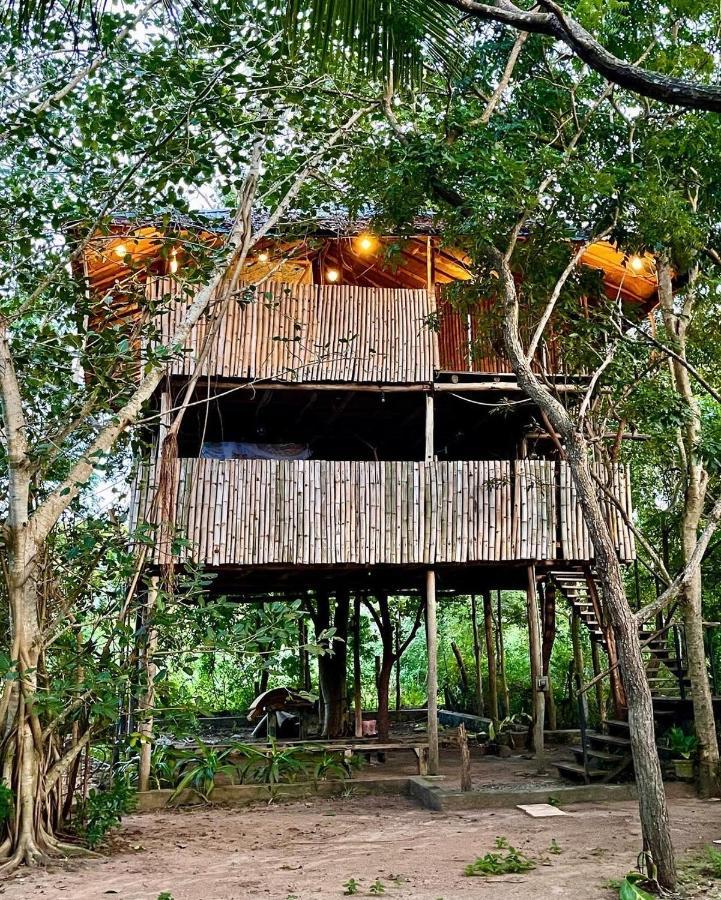 The Saraii Tree Lodge Tissamaharama Eksteriør billede