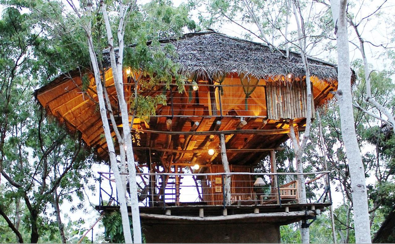 The Saraii Tree Lodge Tissamaharama Eksteriør billede