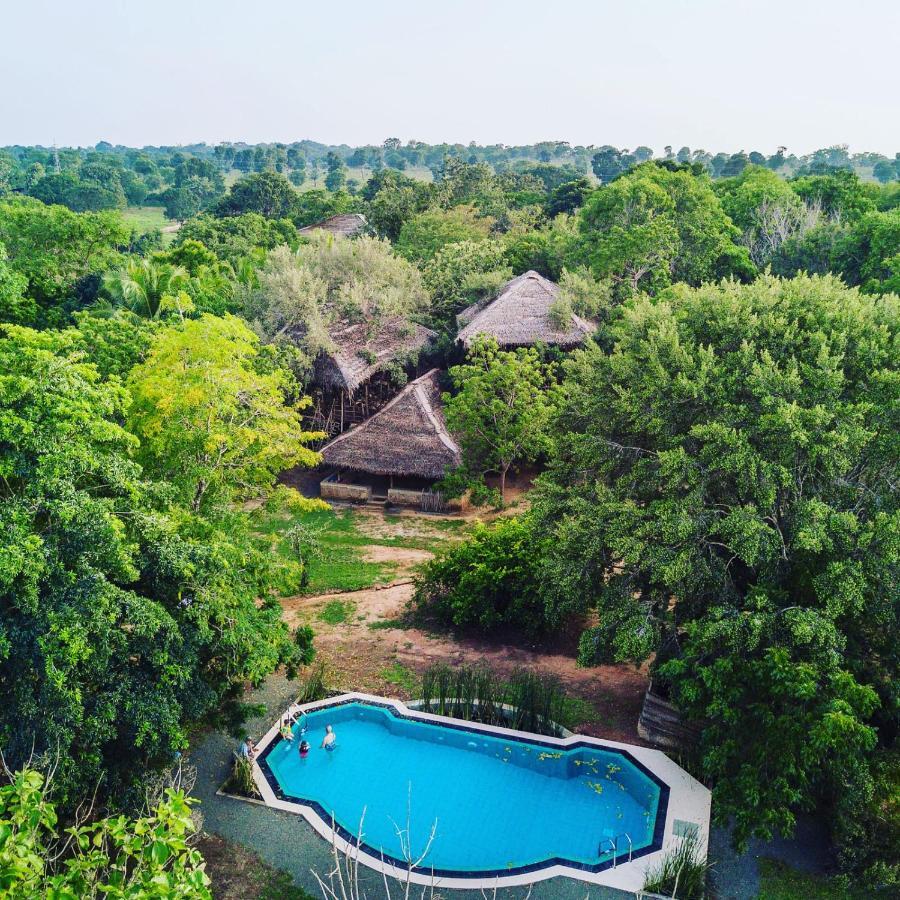 The Saraii Tree Lodge Tissamaharama Eksteriør billede